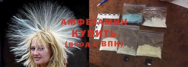 индика Каменка
