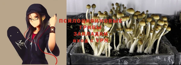 марки nbome Карпинск