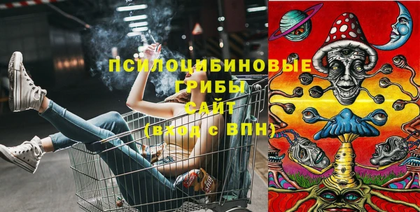 метадон Касимов