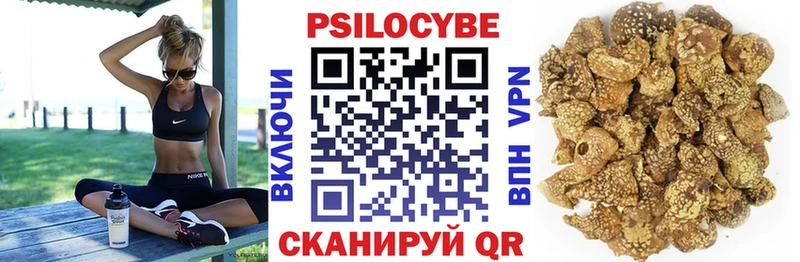 где купить наркоту Назарово Псилоцибиновые грибы Magic Shrooms
