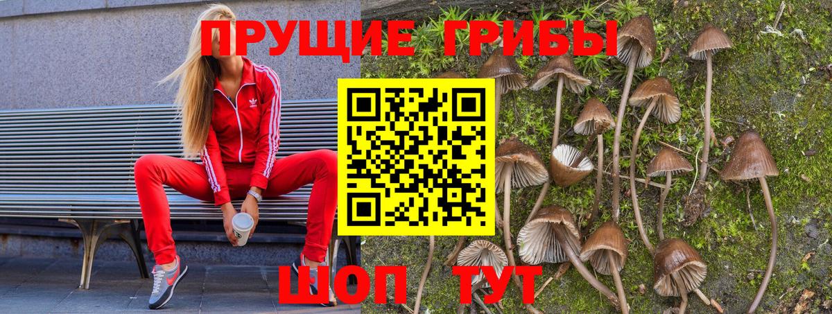 Назарово  Галлюциногенные грибы мицелий  купить   Вход с VPN 