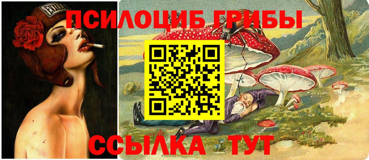 Галлюциногенные грибы Psilocybine cubensis Назарово